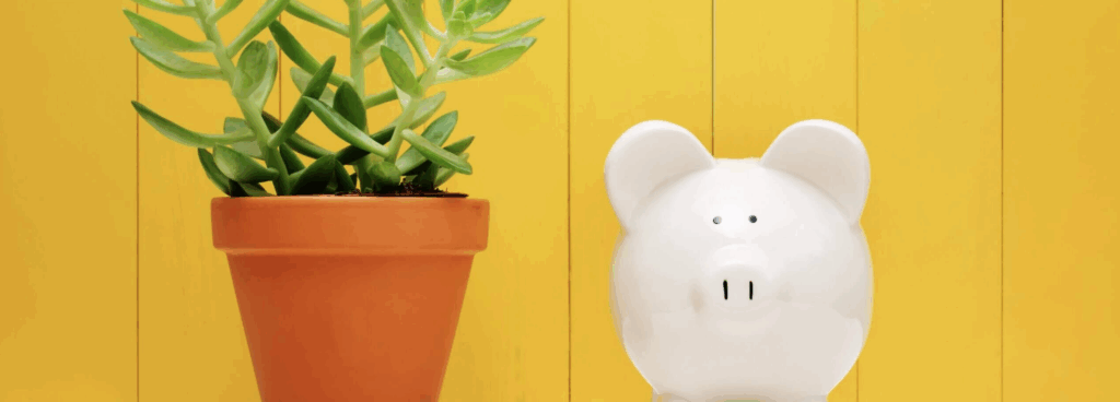 plant and piggy bank